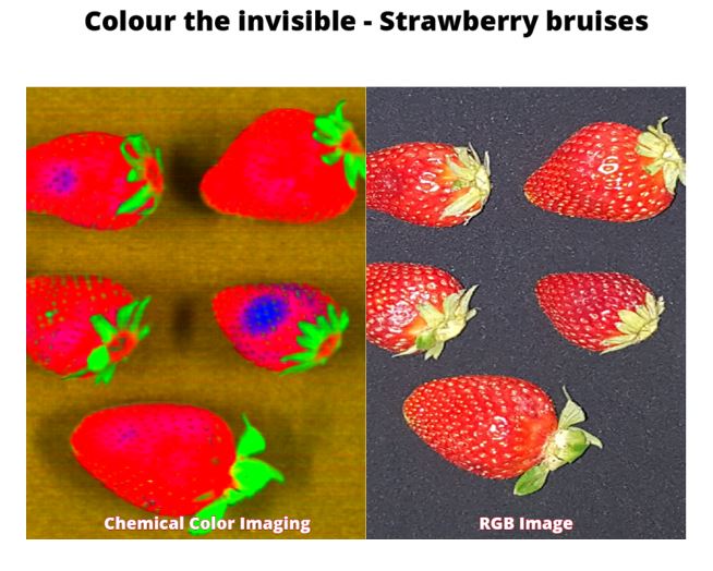 Hyperspectral Machine Vision