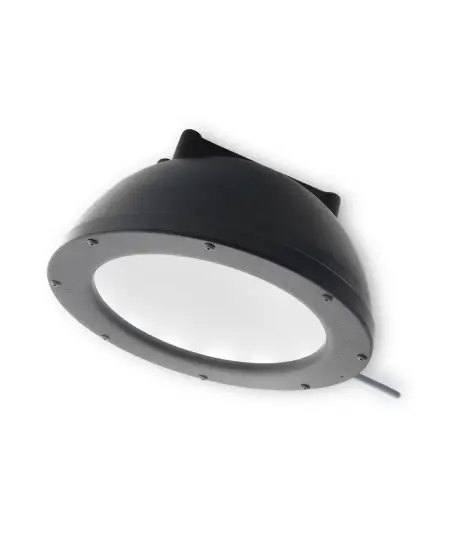 DL097 Dome Light