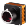 IC-C25CL  ISVI 25MP @ 30fps Color Camera Link Camera